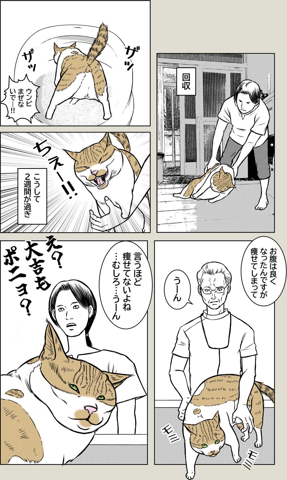 猫とクーラー