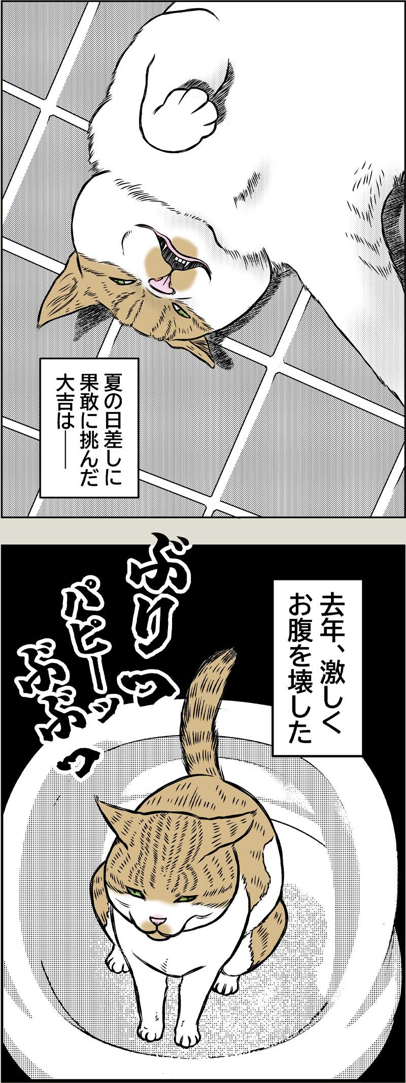 猫とクーラー