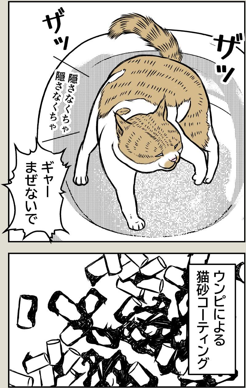 猫とクーラー