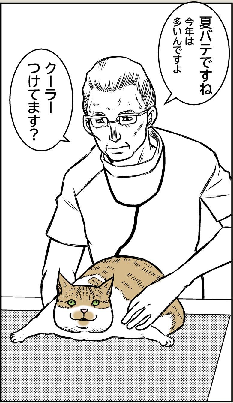 猫とクーラー