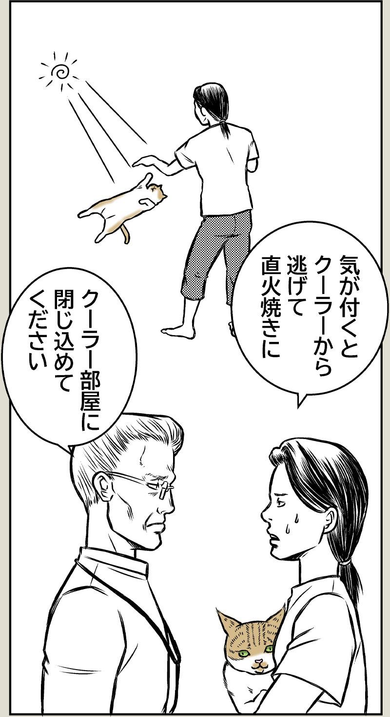 猫とクーラー