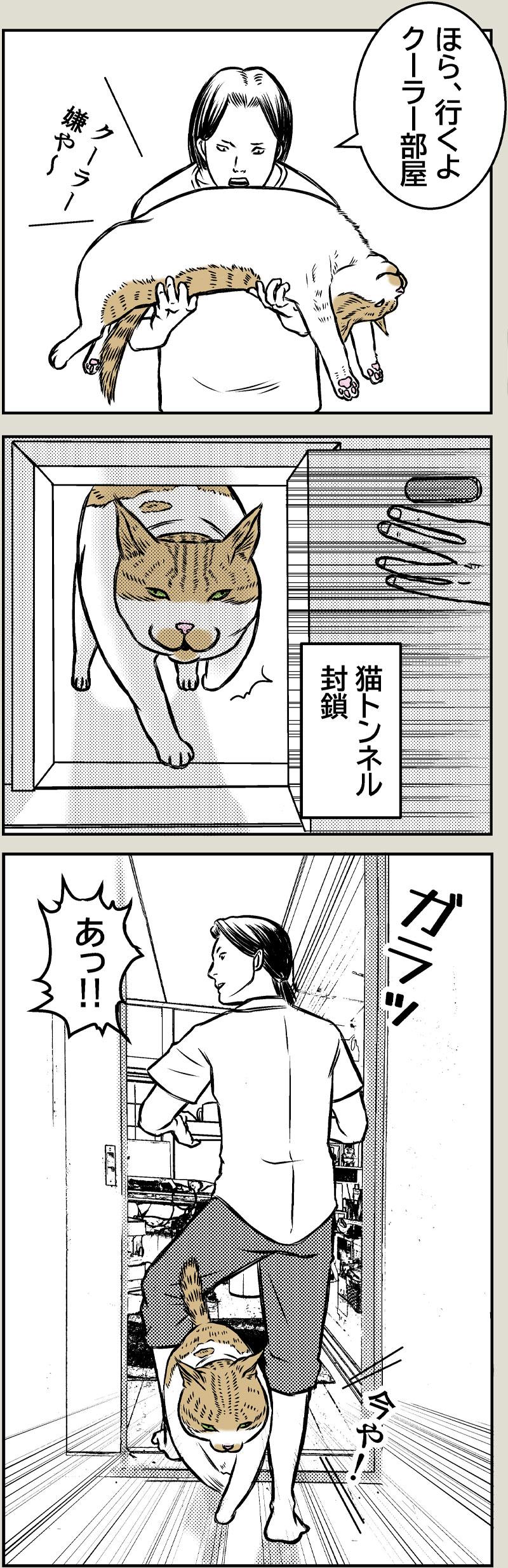 猫とクーラー