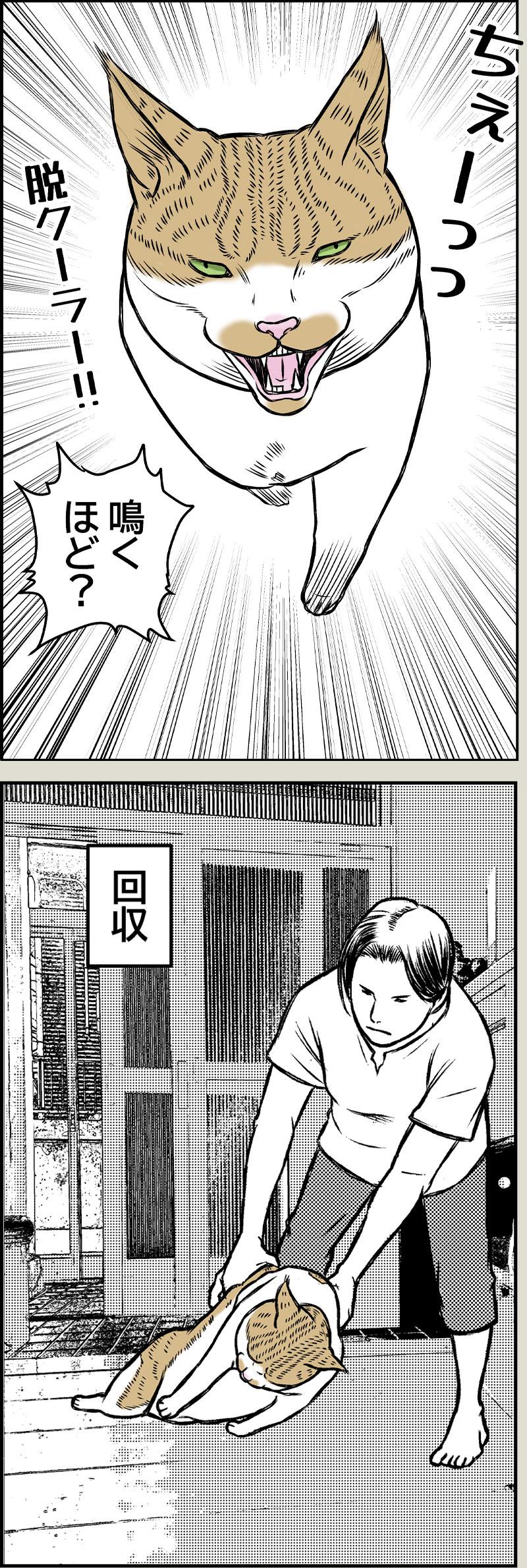 猫とクーラー