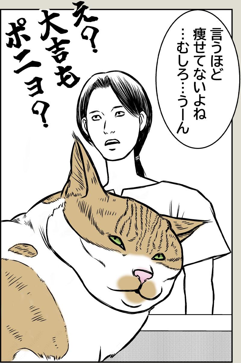 猫とクーラー