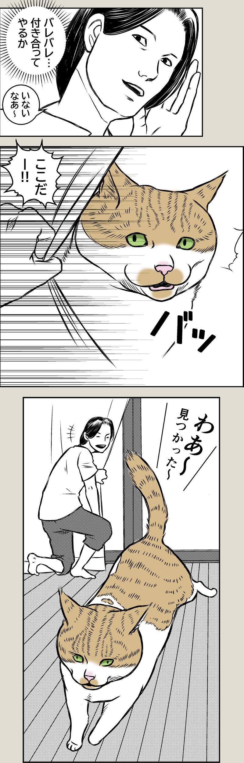 やさしい世界