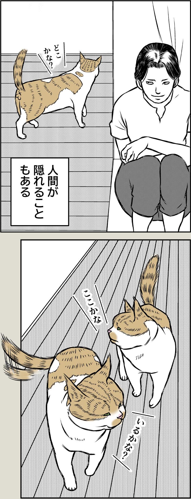 やさしい世界