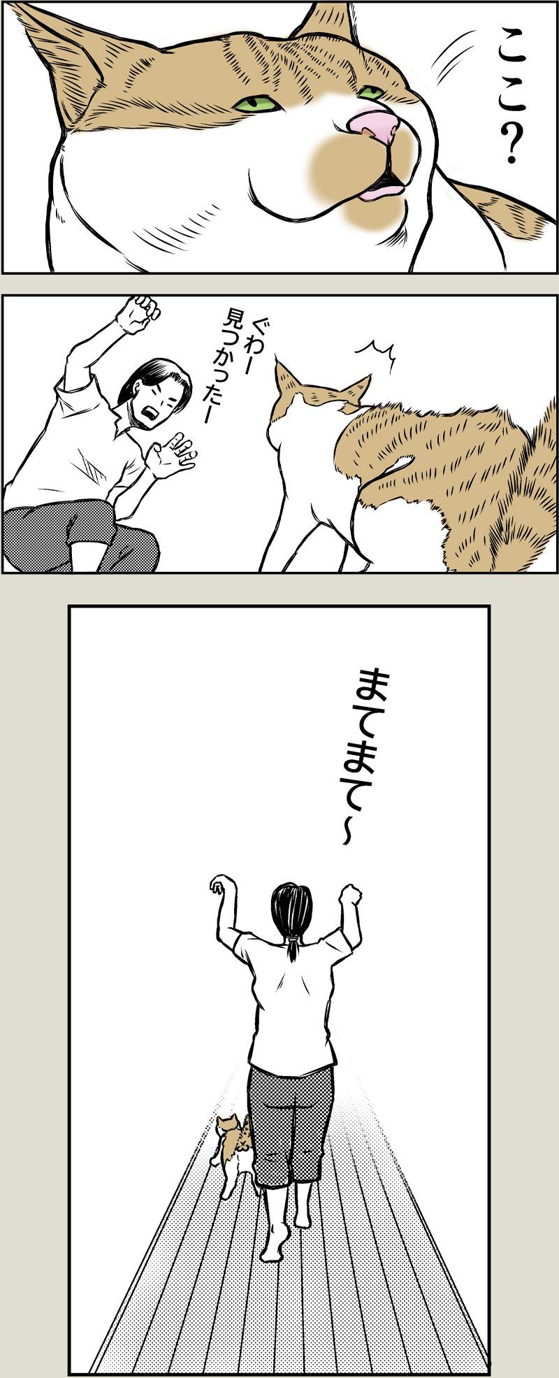 やさしい世界