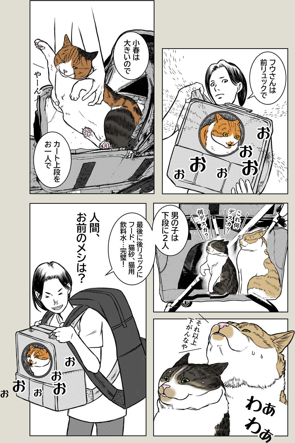 猫、避難訓練