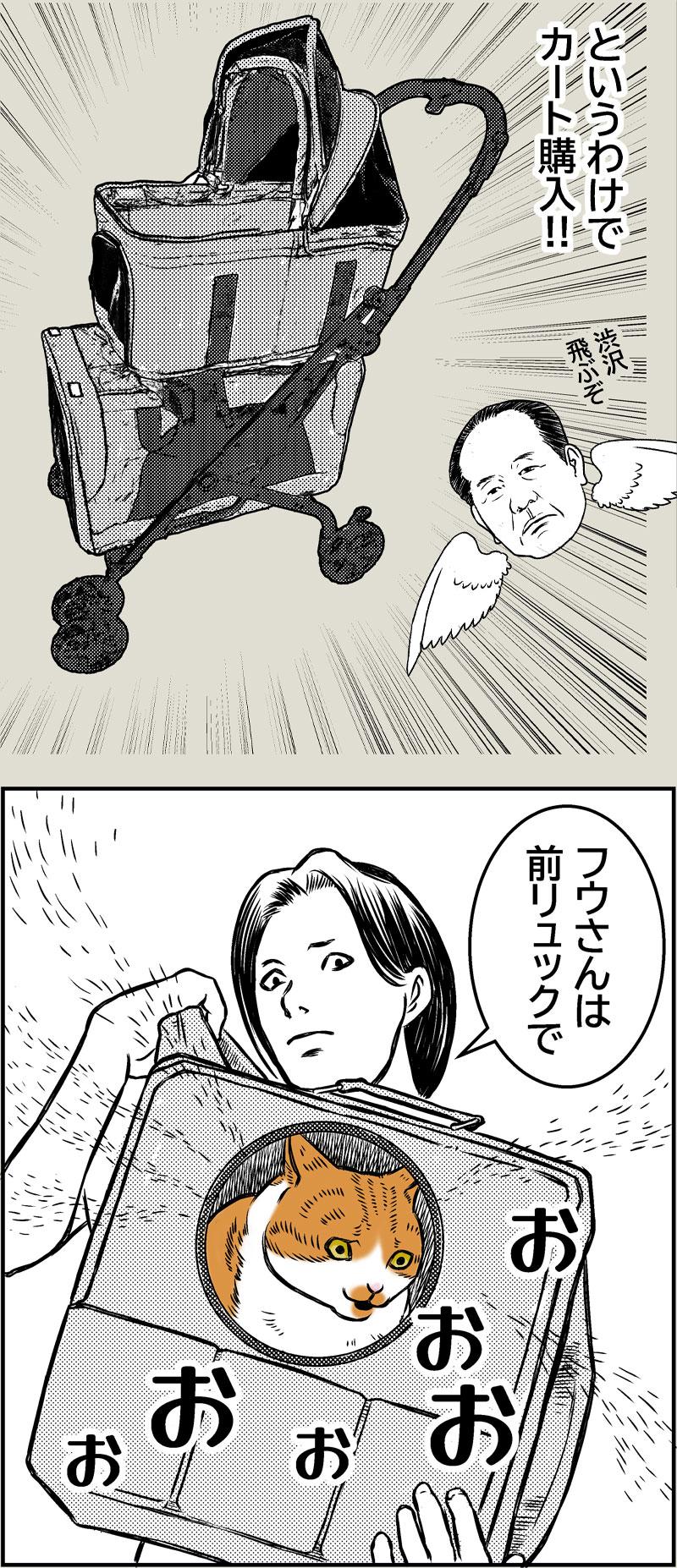 猫、避難訓練