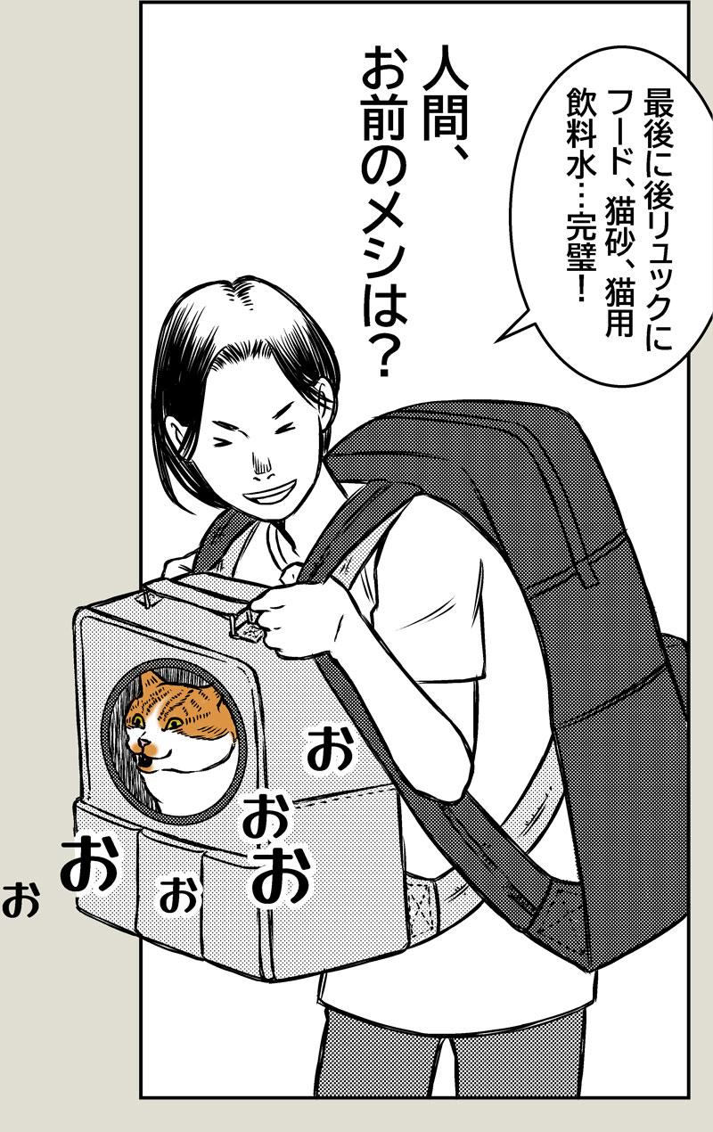 猫、避難訓練
