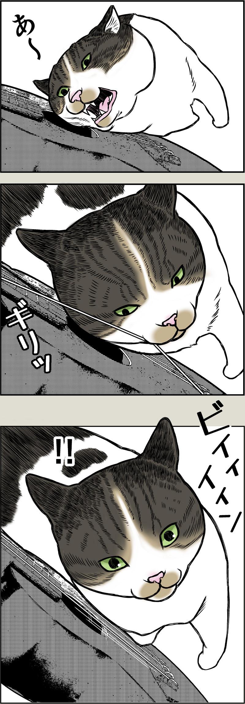 天才と親バカ