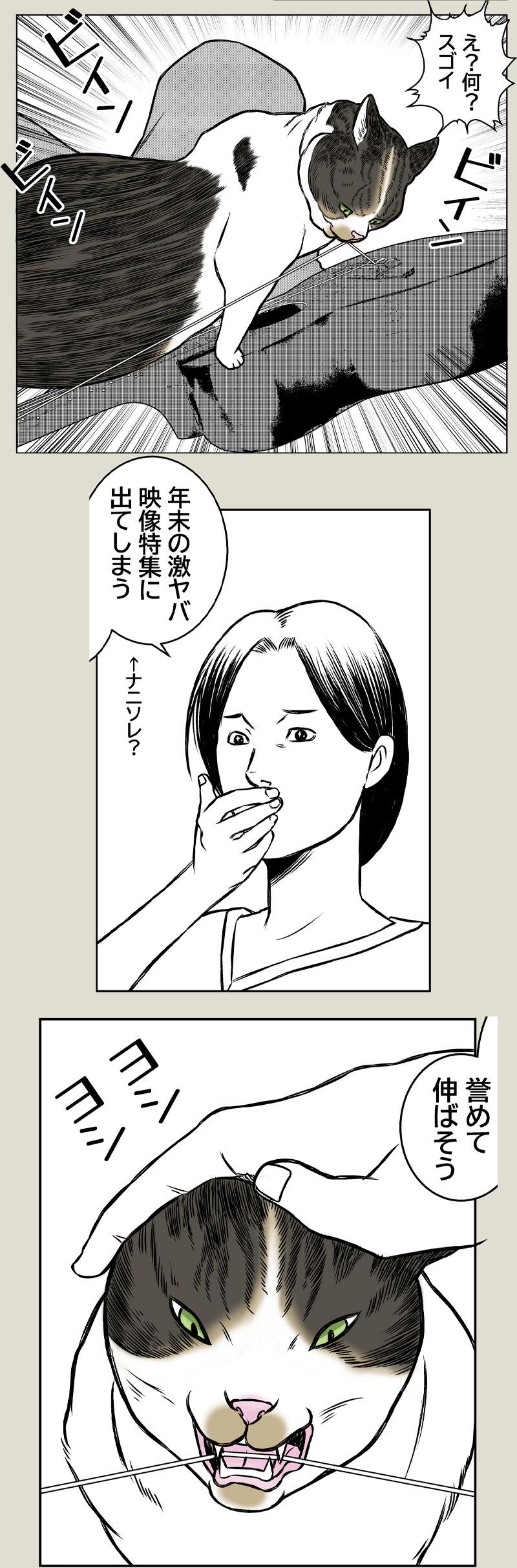 天才と親バカ