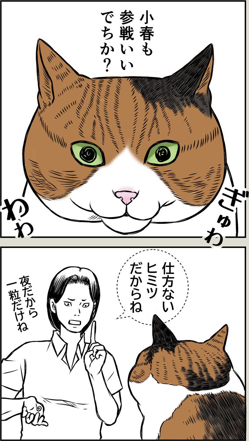 ヒ・ミ・ツ