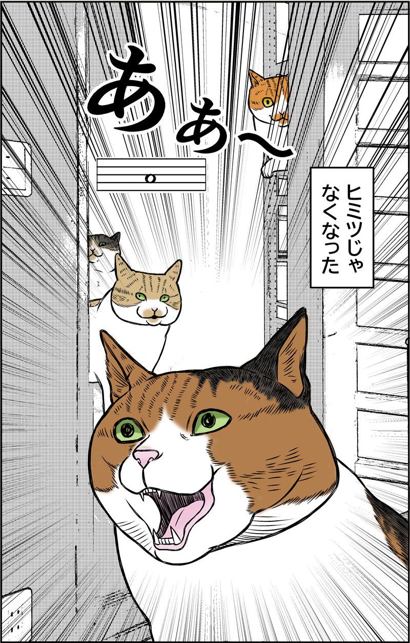 ヒ・ミ・ツ