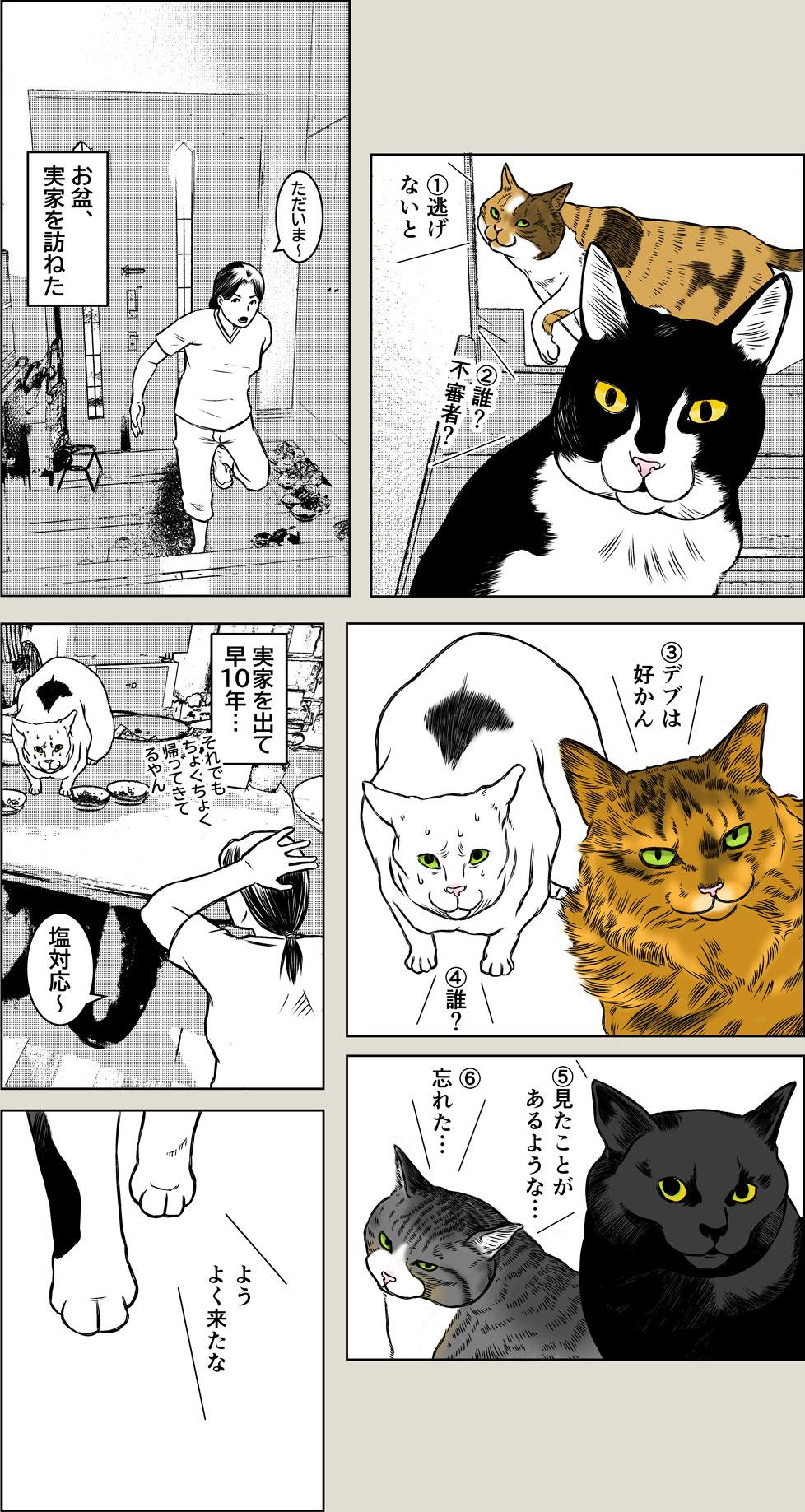 猫本部（実家）にて