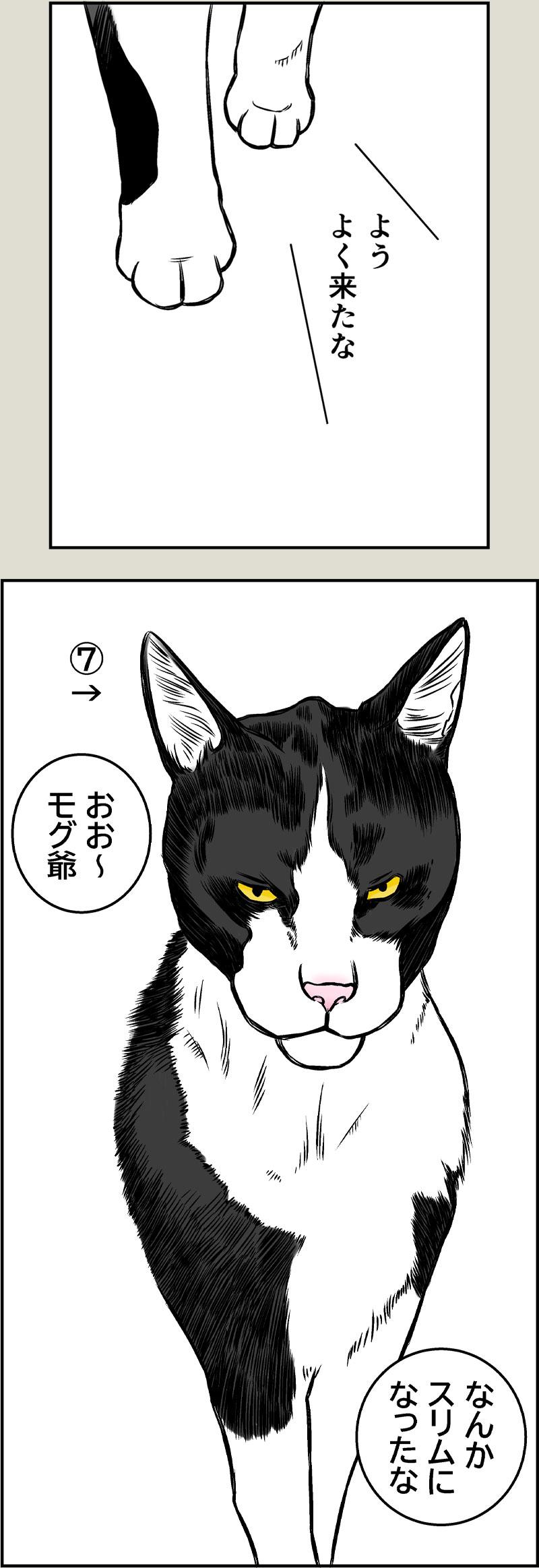 猫本部（実家）にて