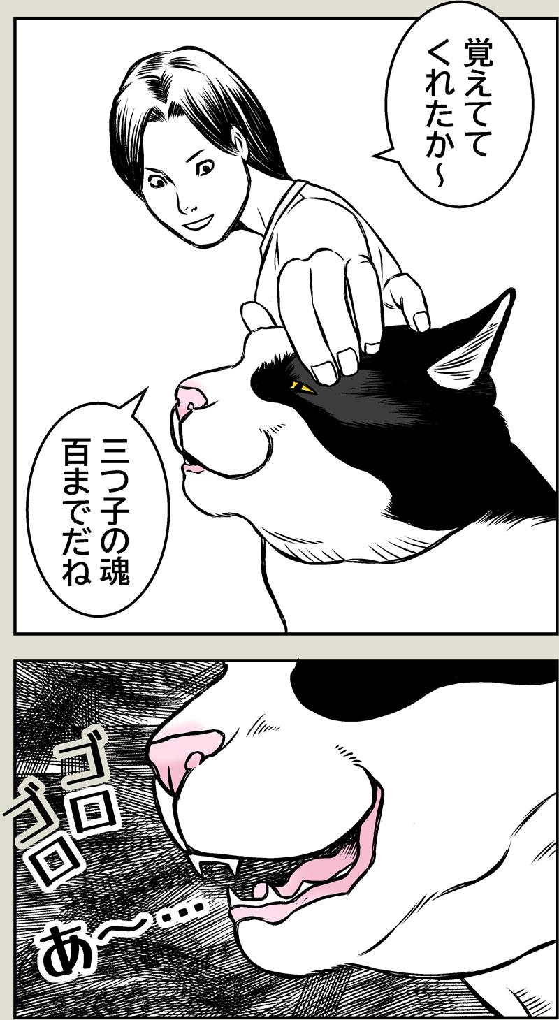 猫本部（実家）にて