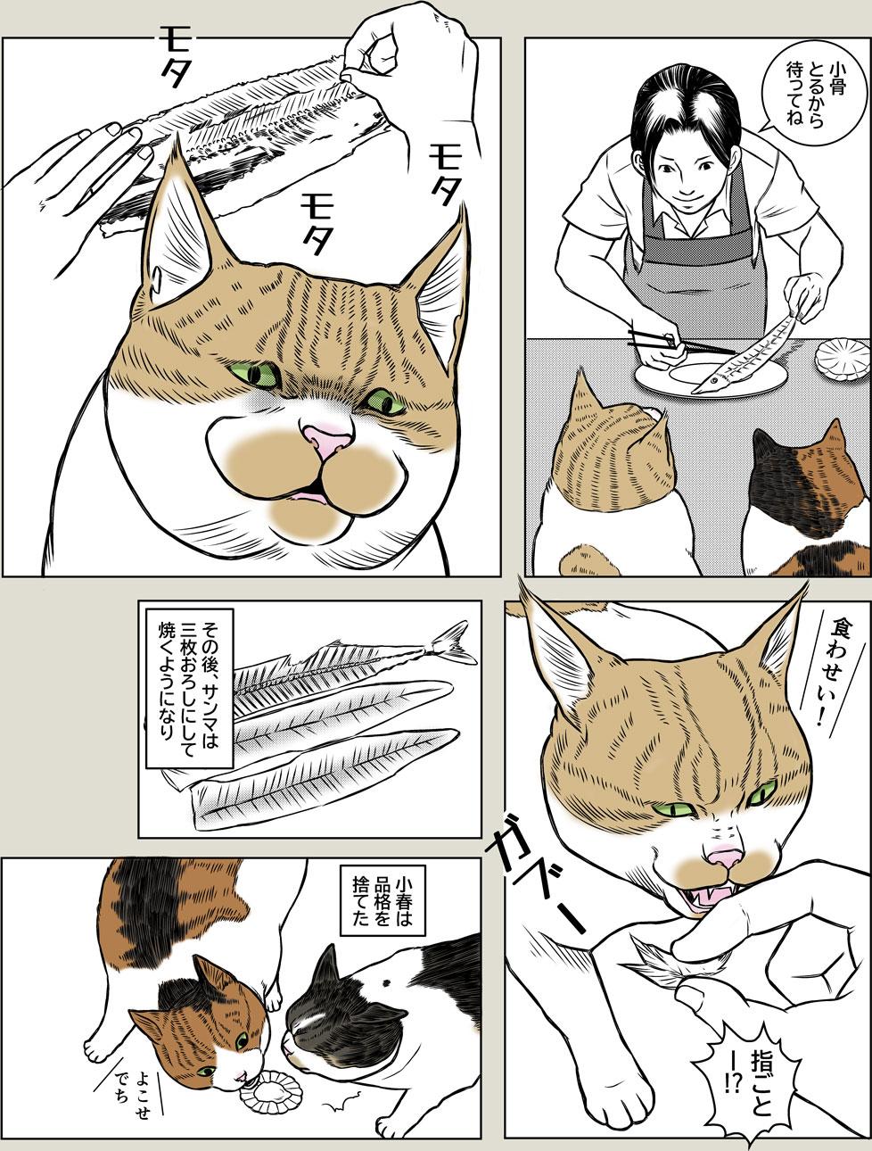 猫の品格