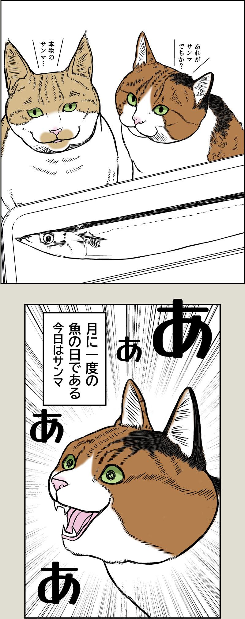 猫の品格