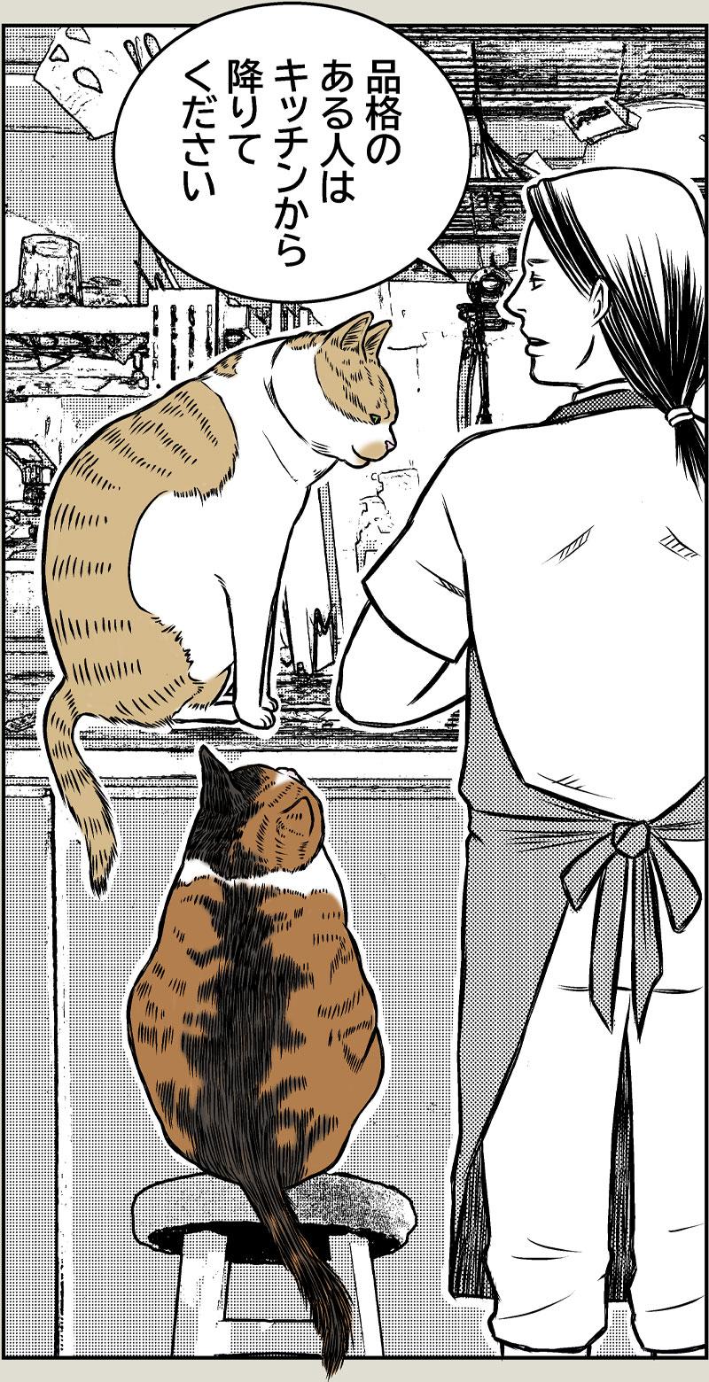 猫の品格