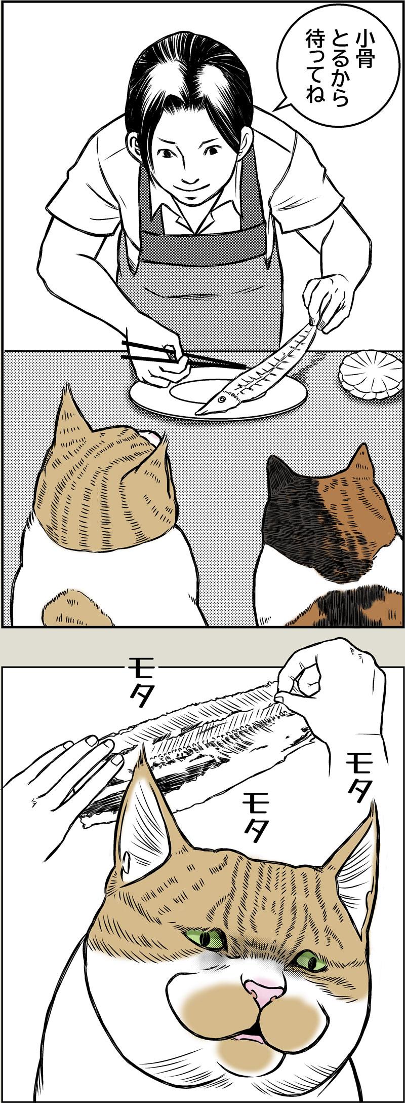 猫の品格