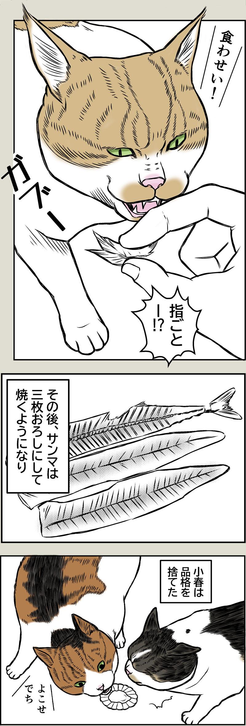 猫の品格