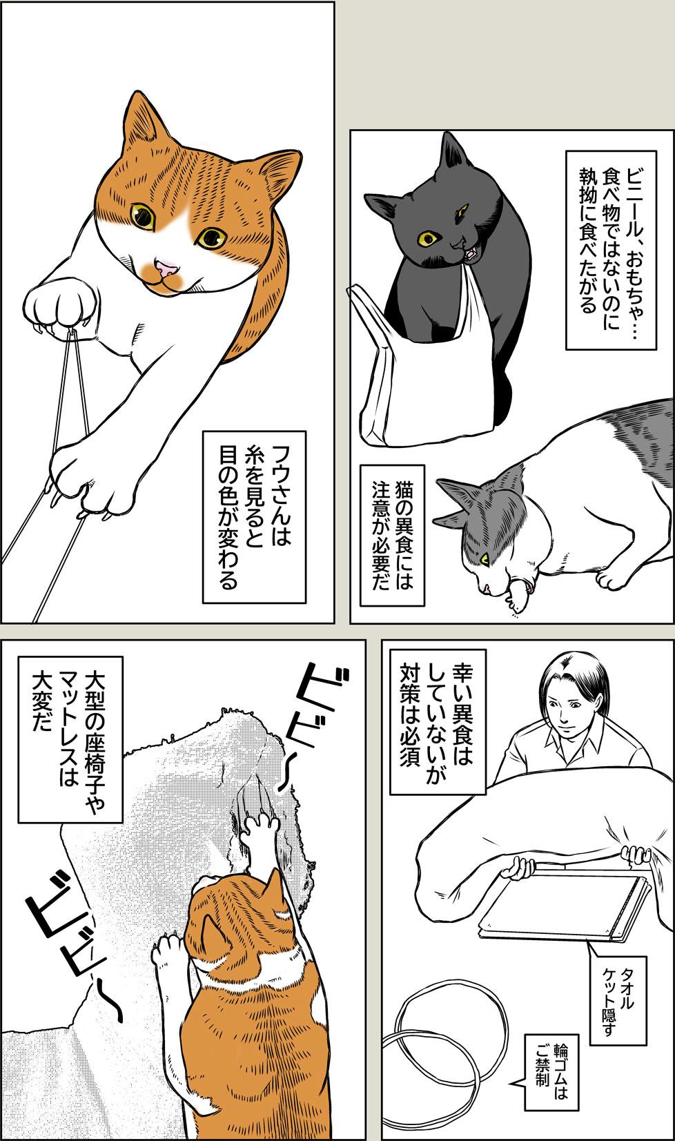猫と老眼