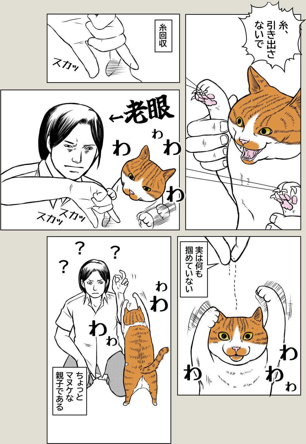 猫と老眼
