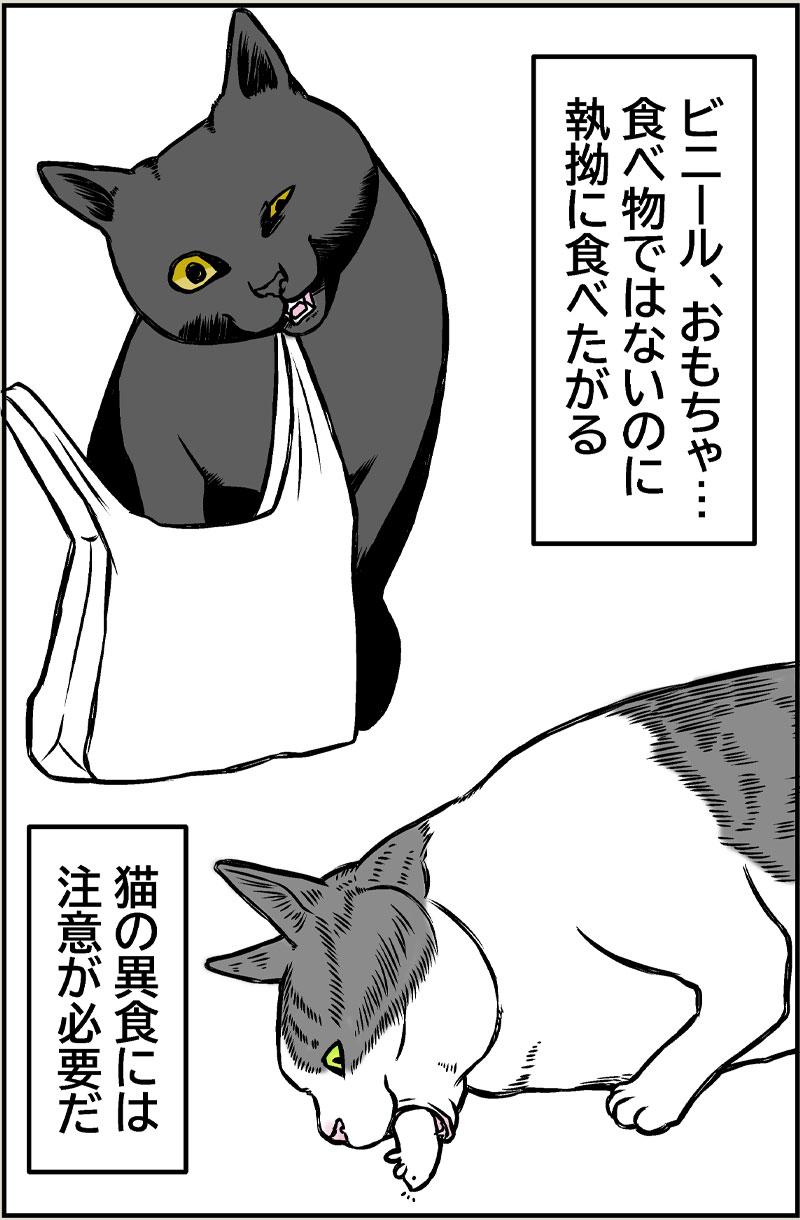猫と老眼