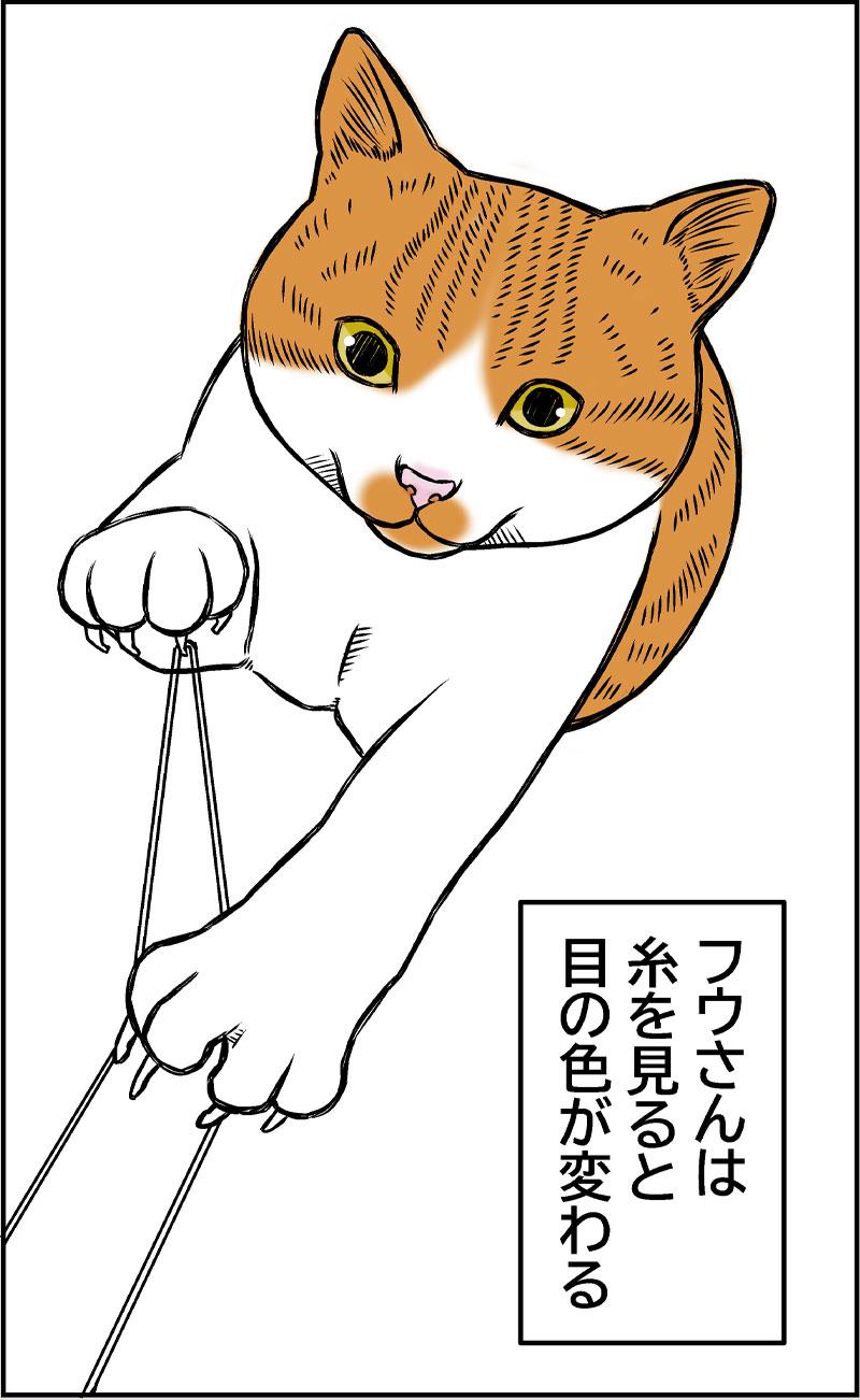 猫と老眼