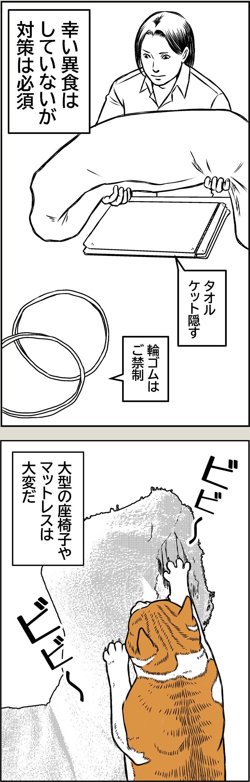 猫と老眼