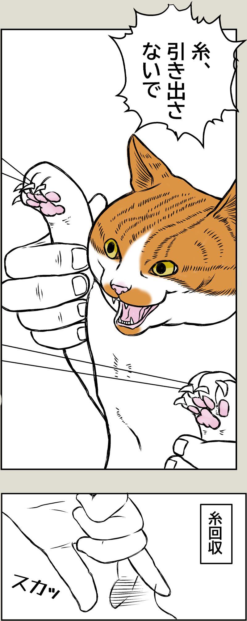 猫と老眼
