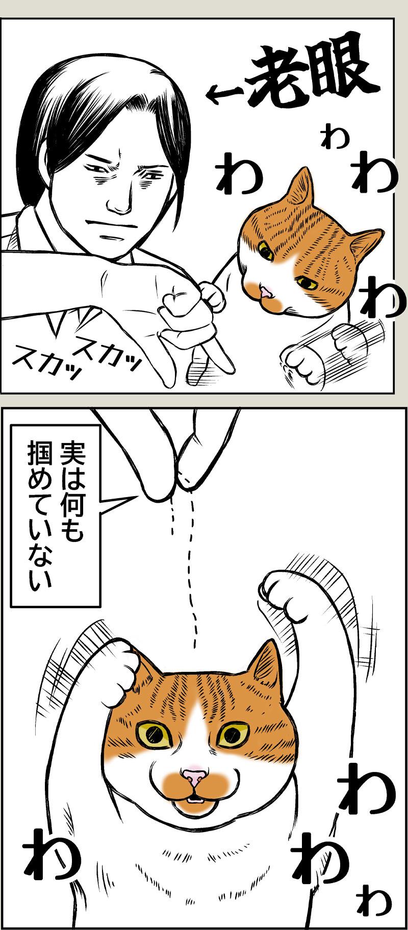 猫と老眼