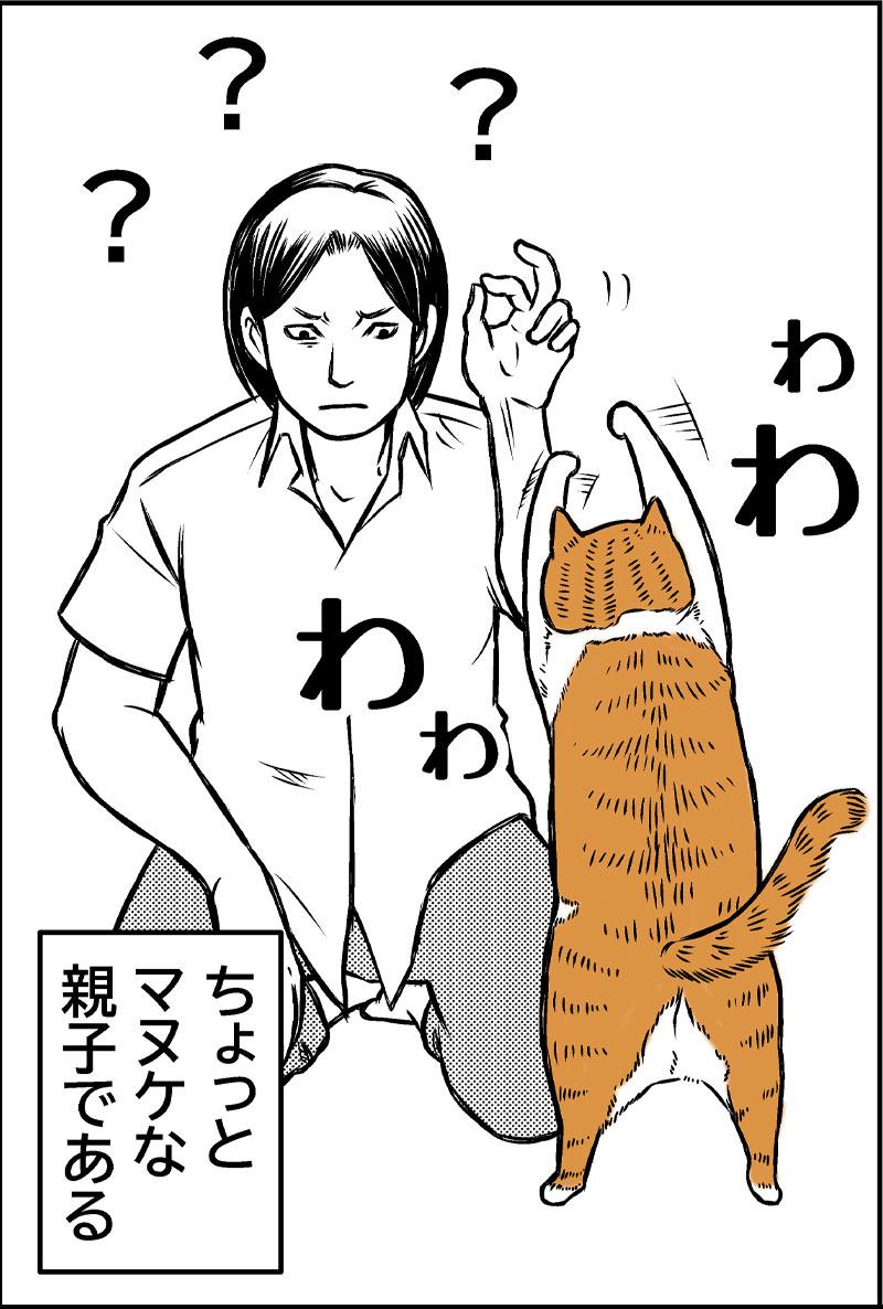 猫と老眼