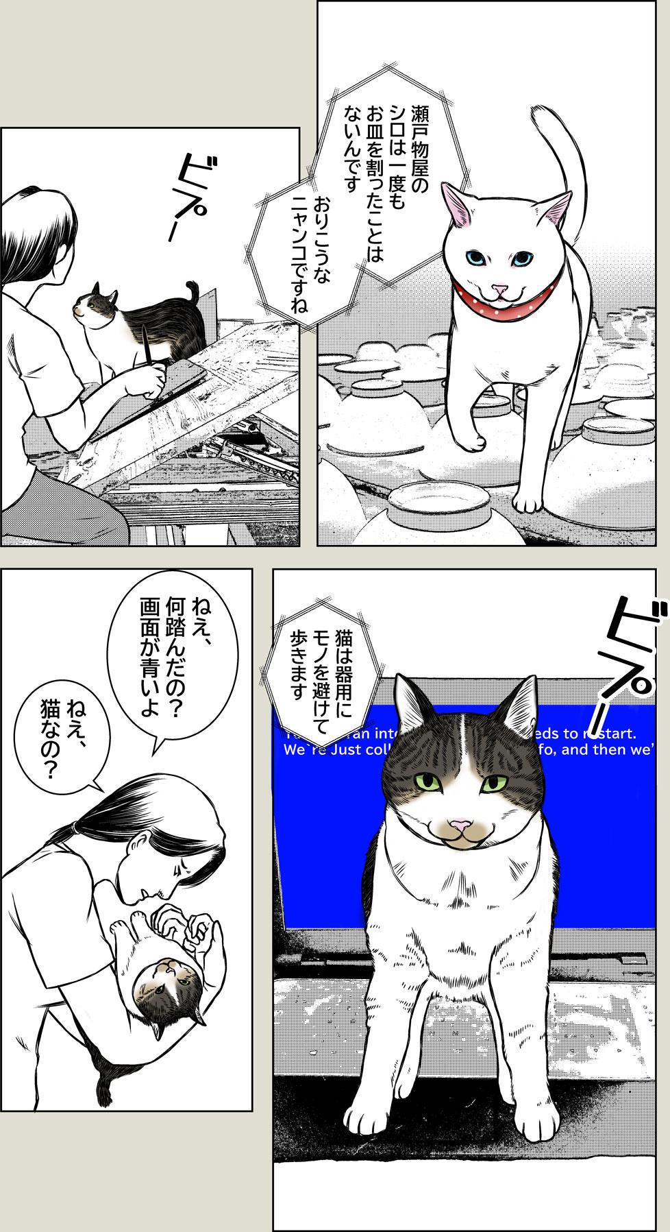 猫なの？