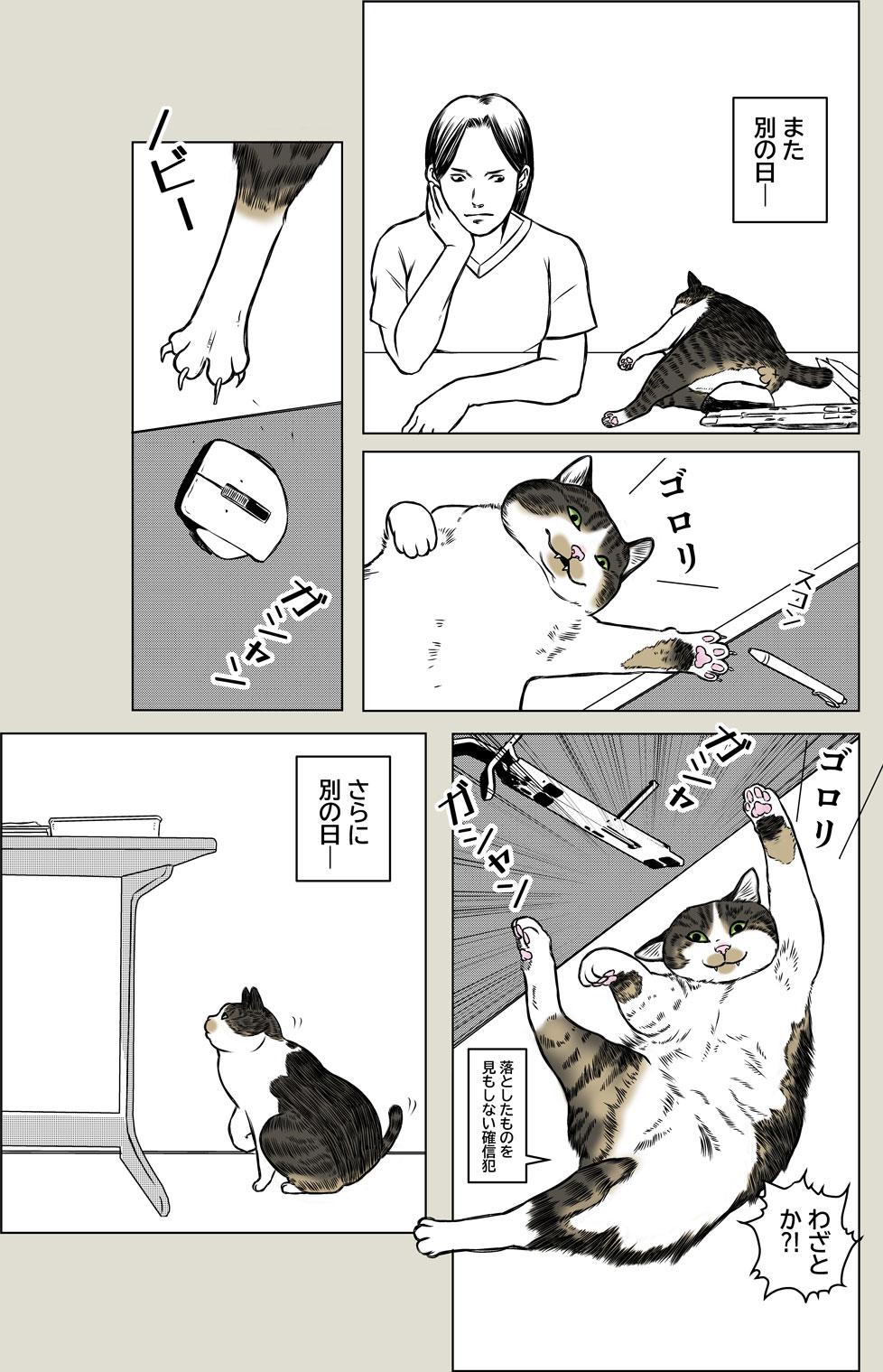 猫なの？