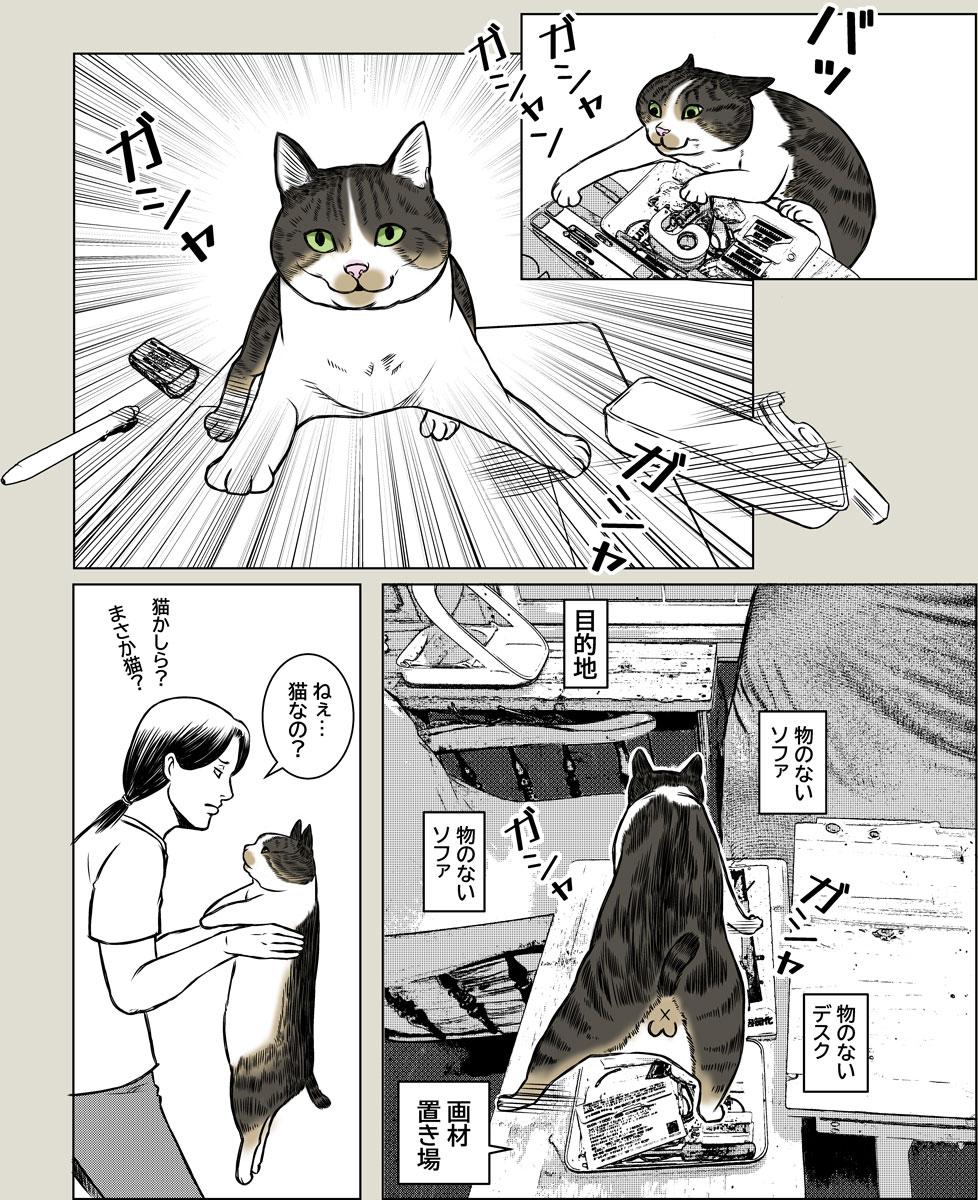 猫なの？