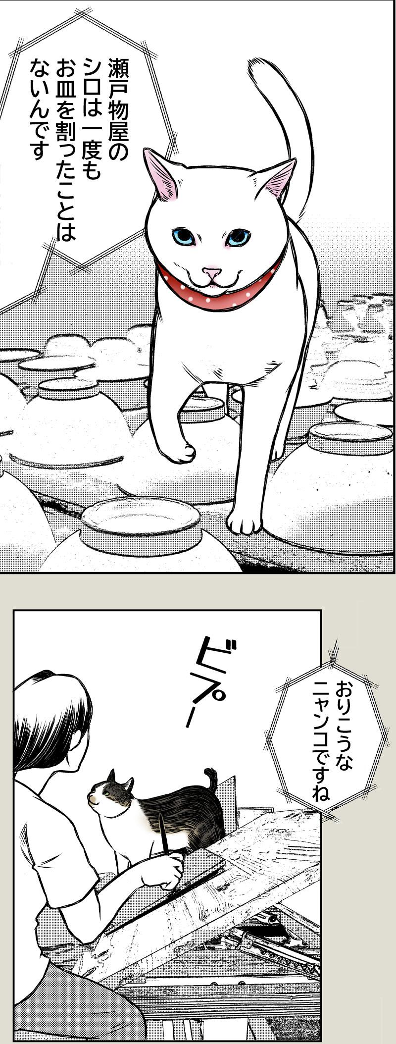 猫なの？
