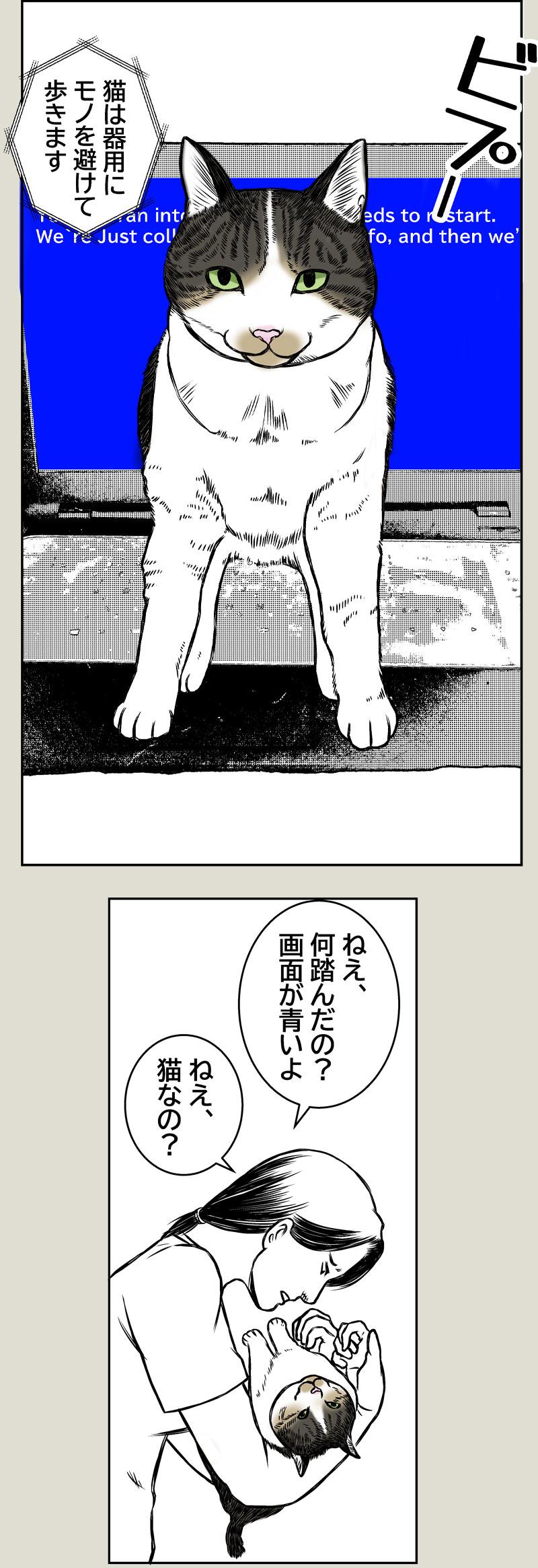 猫なの？