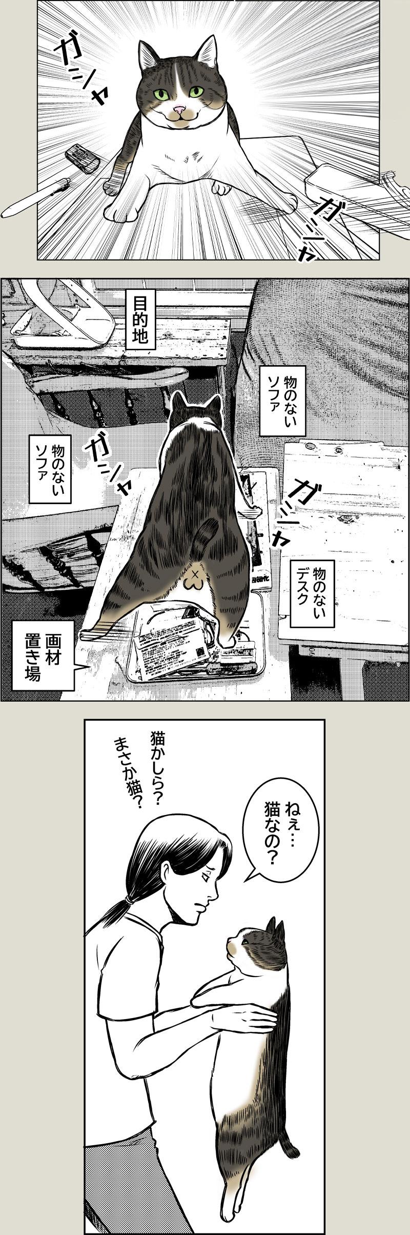 猫なの？