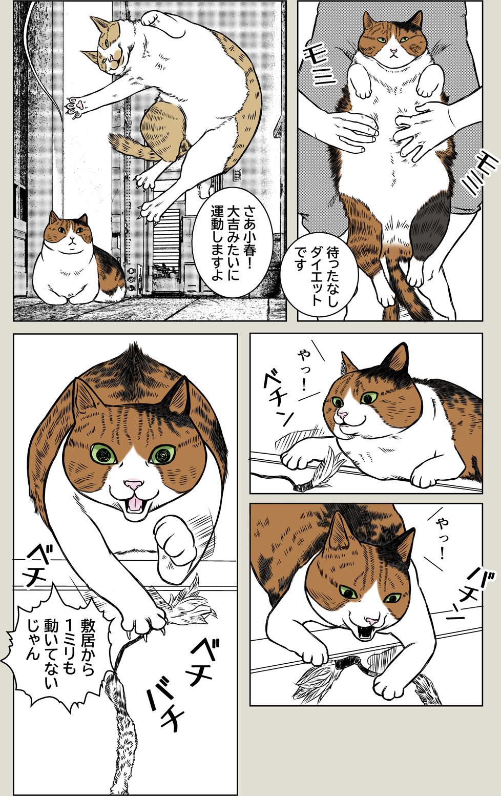 小春ダイエット　運動編