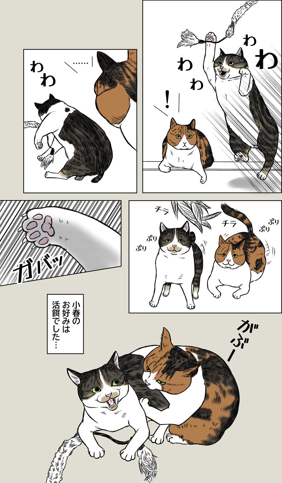 小春ダイエット　運動編