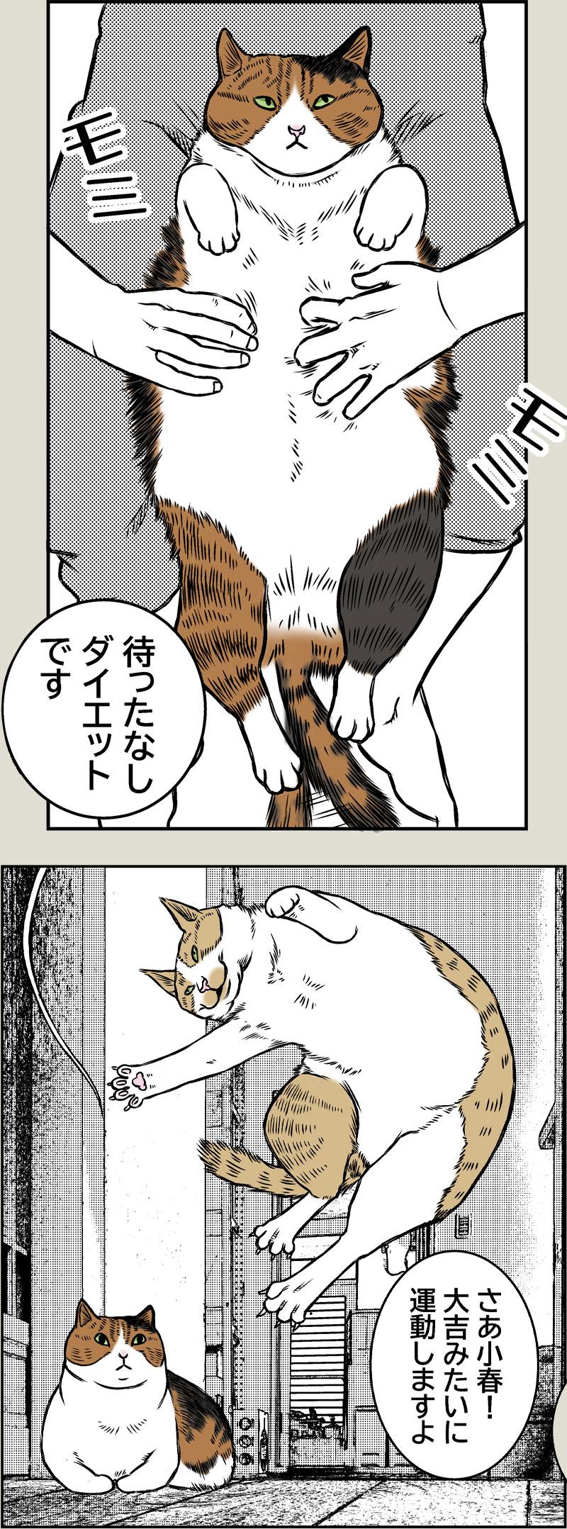 小春ダイエット　運動編