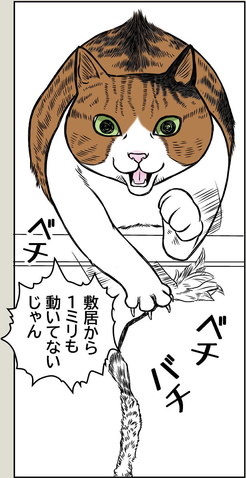 小春ダイエット　運動編