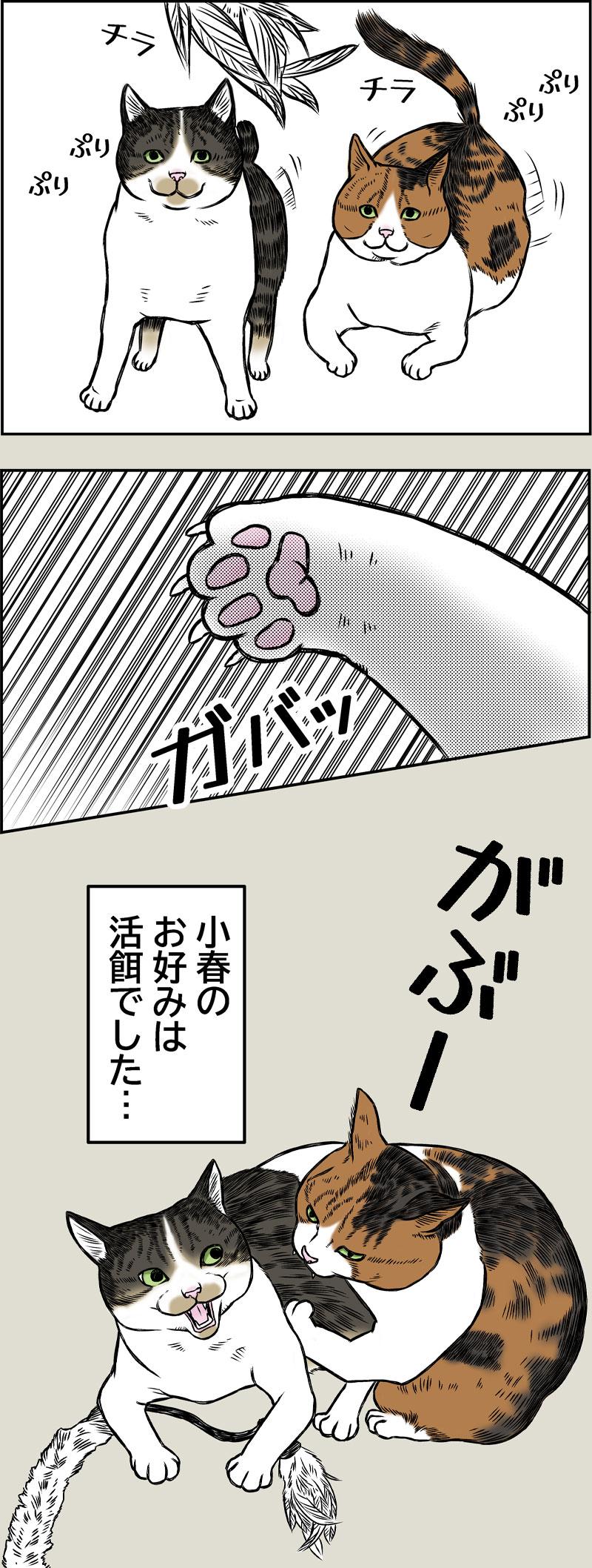 小春ダイエット　運動編