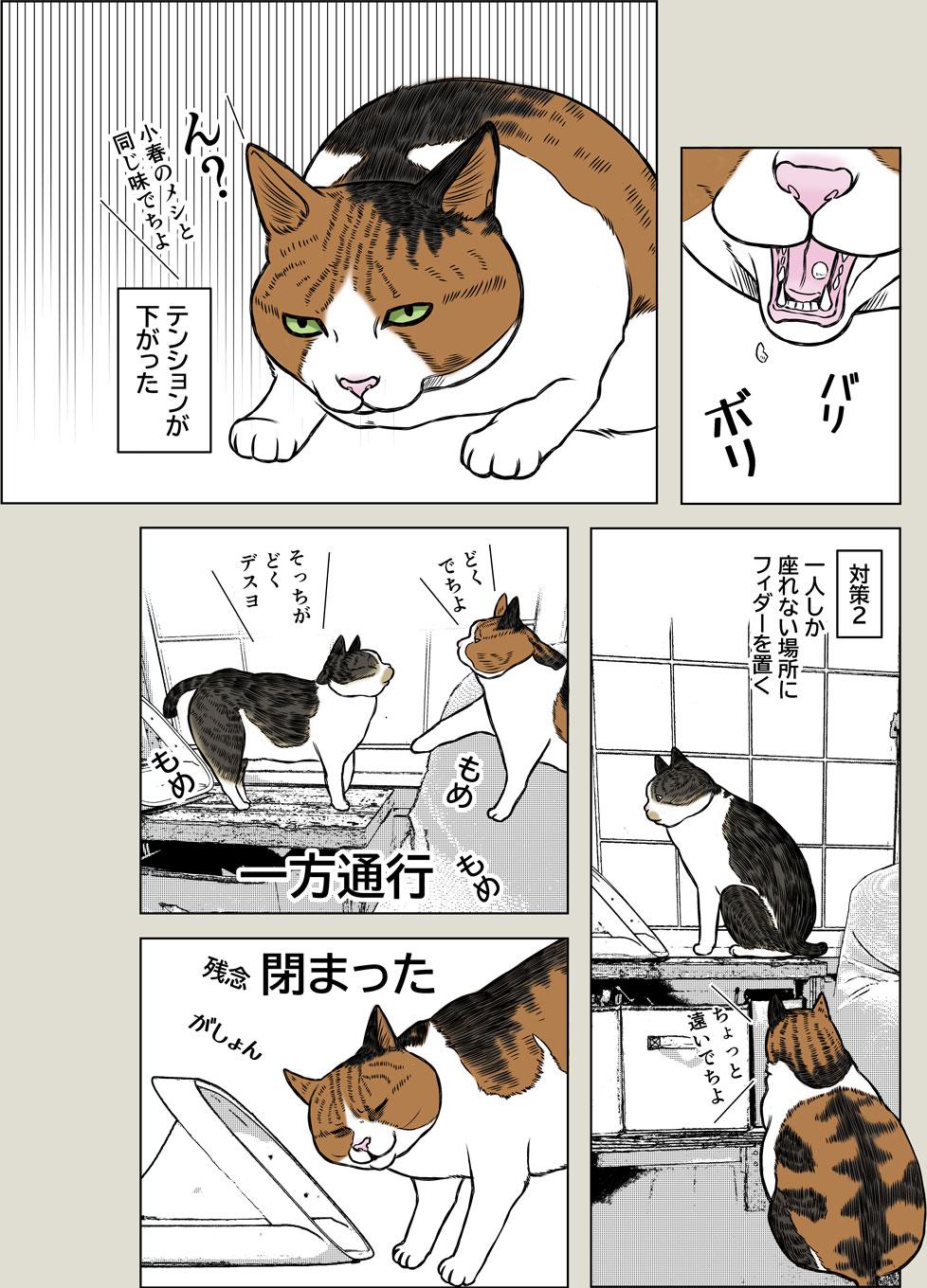 小春ダイエット　食事編