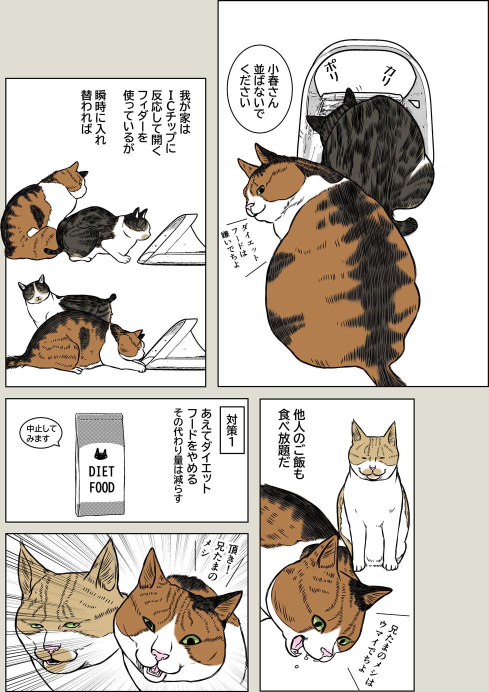 小春ダイエット　食事編