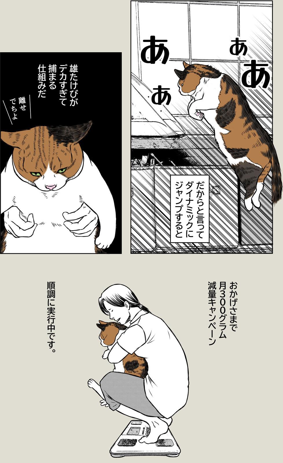 小春ダイエット　食事編