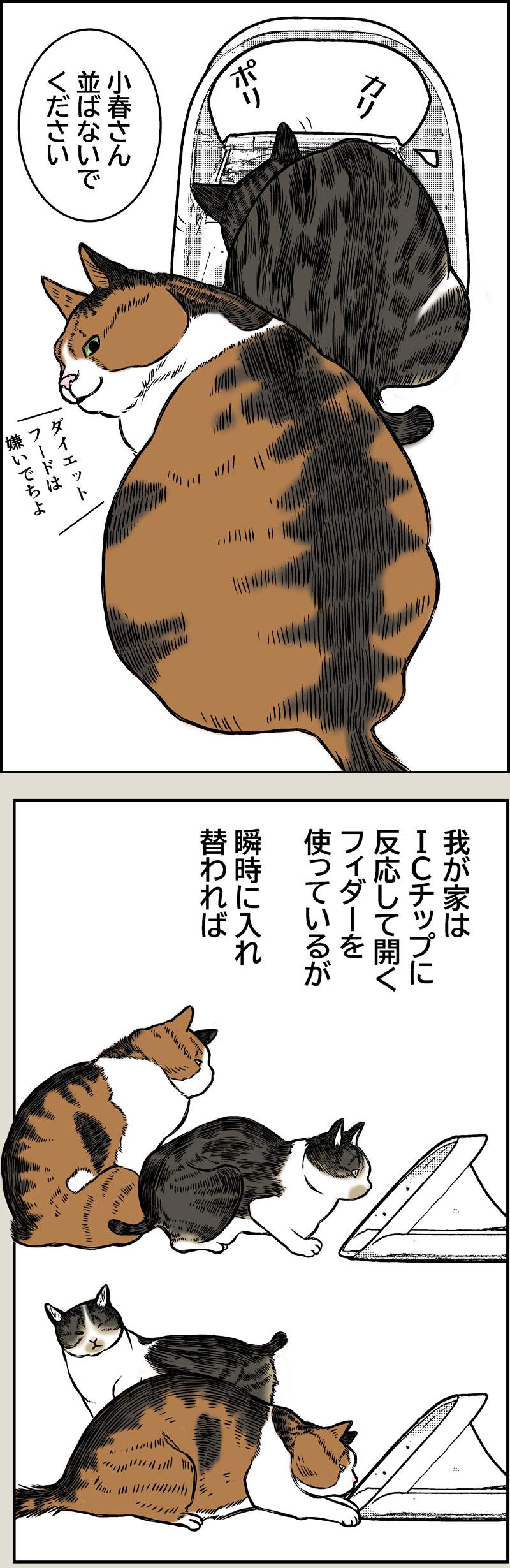 小春ダイエット　食事編