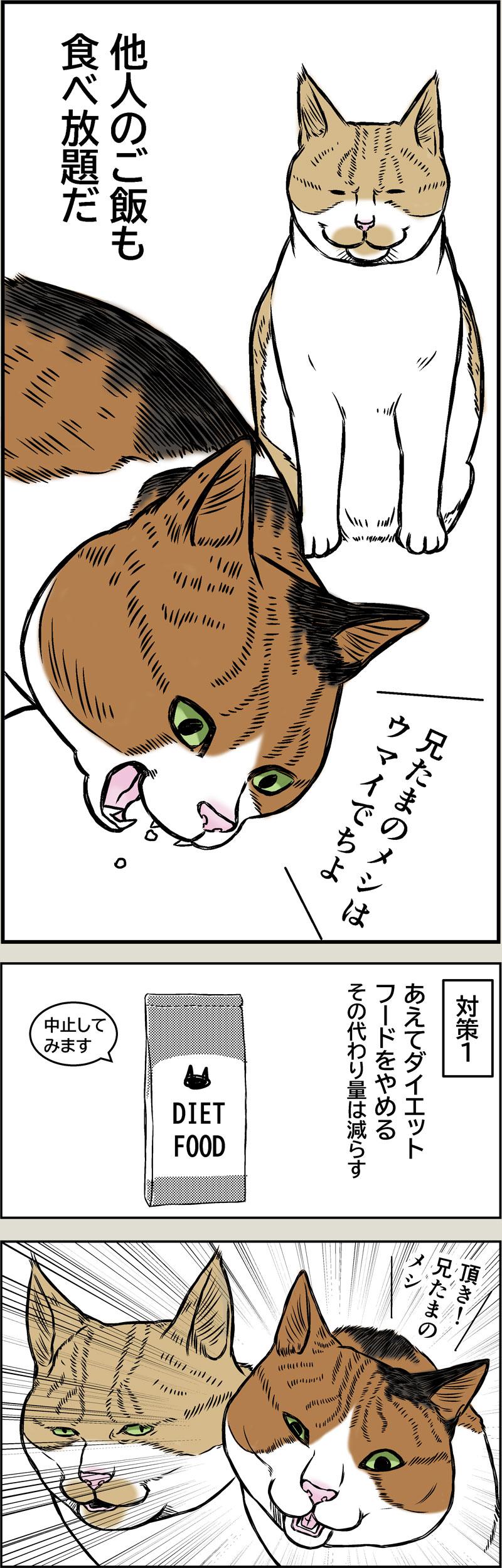 小春ダイエット　食事編